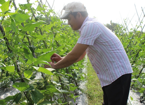Nguyễn Hoàng Trung (ảnh: Thành Đoàn TPHCM)