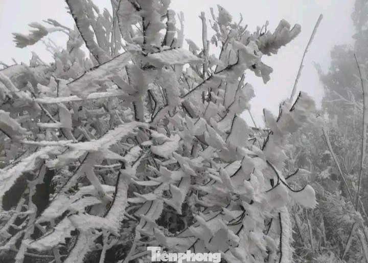 Đồng thời thành lập các đoàn đi kiểm tra công tác phòng chống đói, rét cho đàn gia súc. Đồng thời thành lập các đoàn đi kiểm tra công tác phòng chống đói, rét cho đàn gia súc.