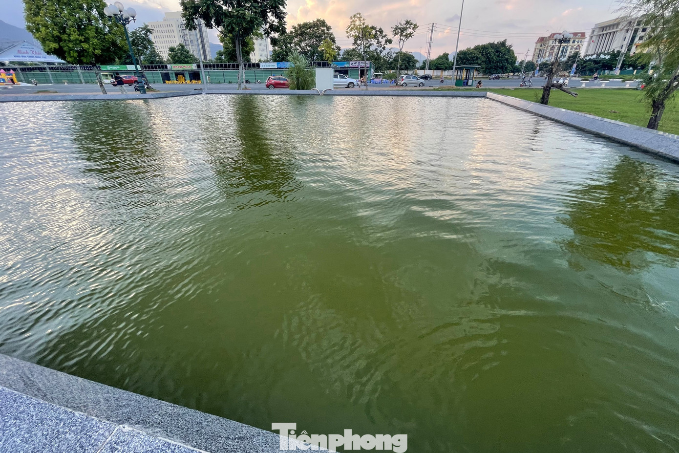 Nước trong bể xanh màu rêu và đục ngầu không thể nhìn thấy đáy hồ dù cho mực nước không sâu, chỉ khoảng 1m.