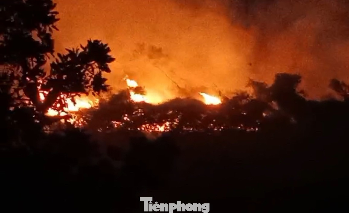Khoảng 7000m2 rừng tự nhiên sản xuất bị thiêu rụi. Khoảng 7000m2 rừng tự nhiên sản xuất bị thiêu rụi.