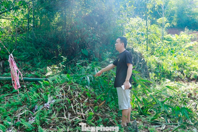 Đá văng khiến cây cối đập vào phần mộ của gia đình anh Giảng. Đá văng khiến cây cối đập vào phần mộ của gia đình anh Giảng.