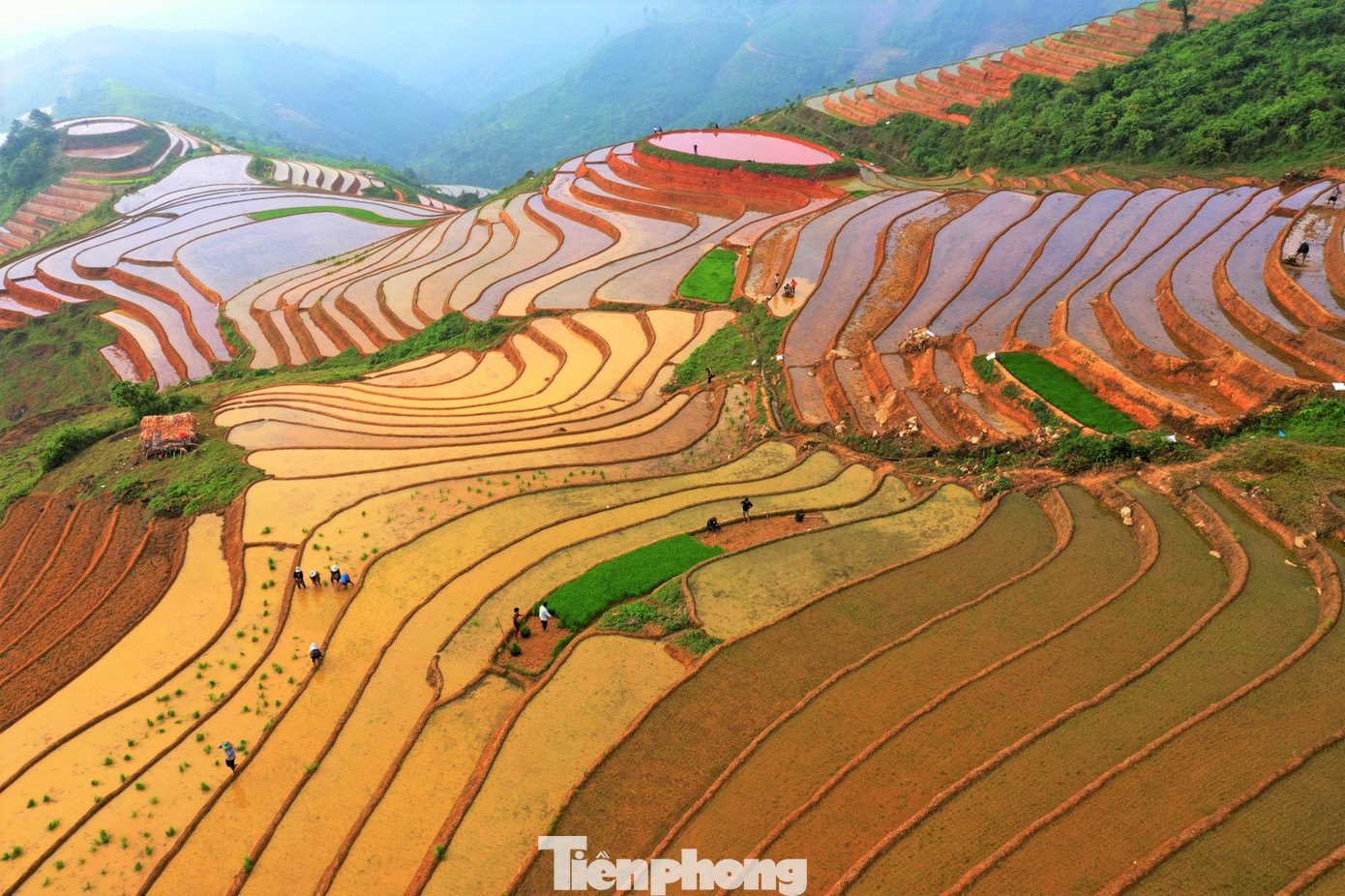 Năm nay, do hạn hán đầu hè kéo dài khiến những thửa ruộng bậc thang tại Yên Bái thiếu nước sản xuất. Phải đến giữa tháng 6, khi những cơn mưa đầu mùa xuất hiện, trên những thửa ruộng bậc thang, bà con khẩn trương ra đồng cấy lúa để kịp khung thời vụ.