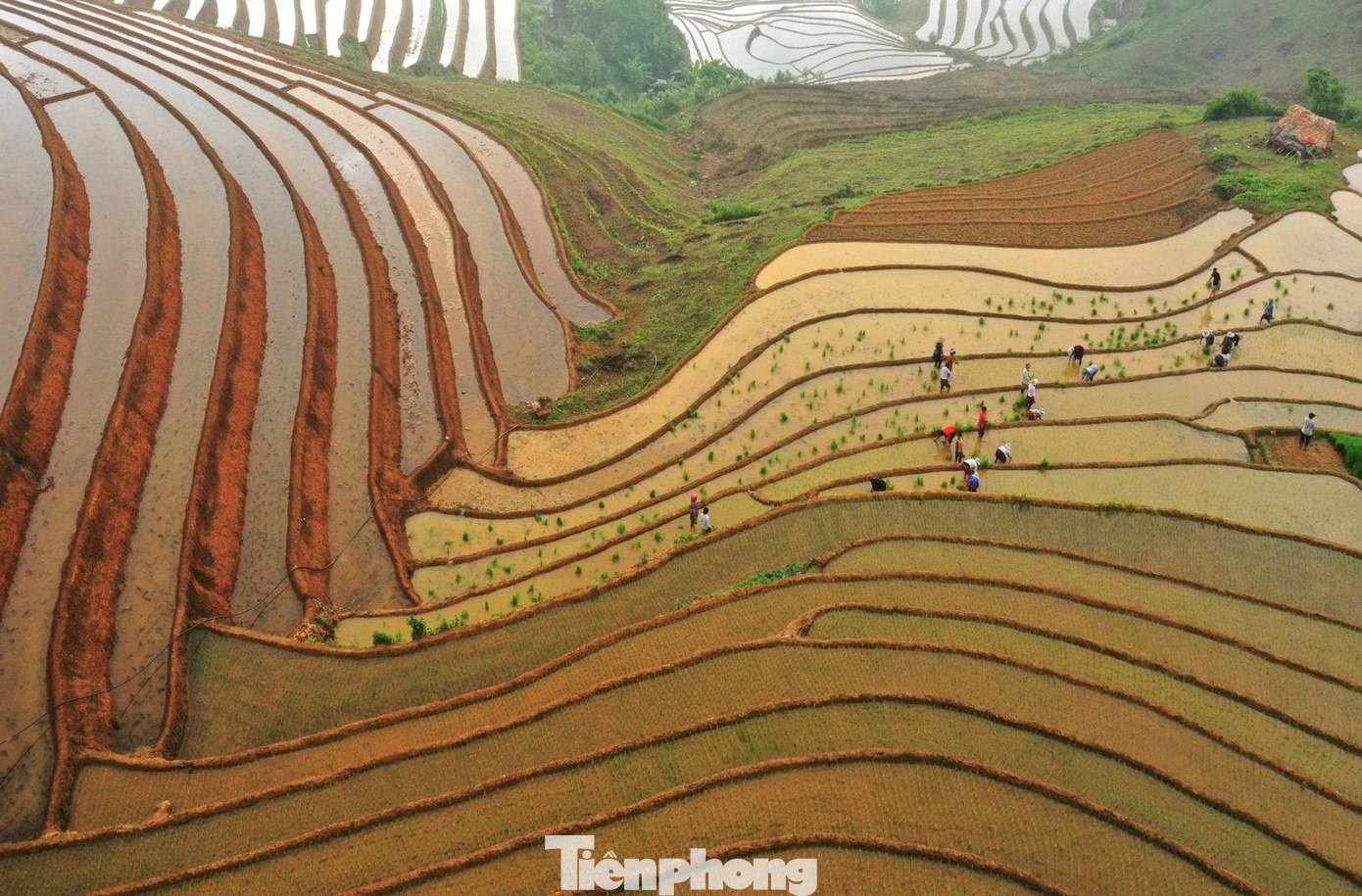 Năm nay do mưa về muộn, nên ngay khi có nước, chính quyền địa phương đã chỉ đạo cán bộ khuyến nông đến từng thôn tuyên truyền, hướng dẫn bà con kịp thời xuống giống cho đúng khung thời vụ.