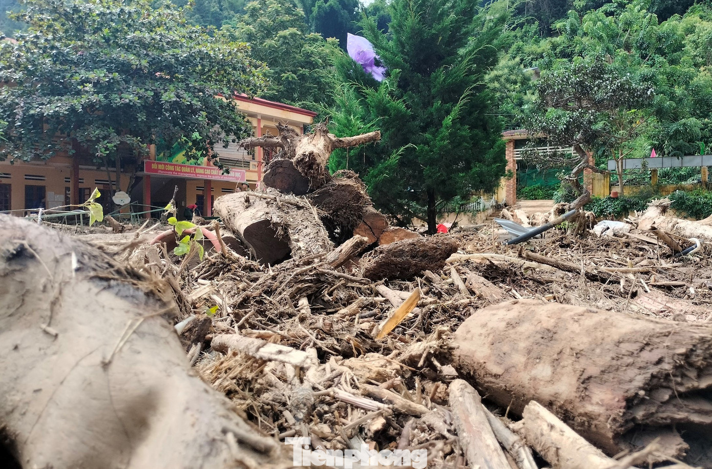 Những khúc gỗ lớn còn mắc lại ở sân trường sau mưa lũ. Những khúc gỗ lớn còn mắc lại ở sân trường sau mưa lũ.