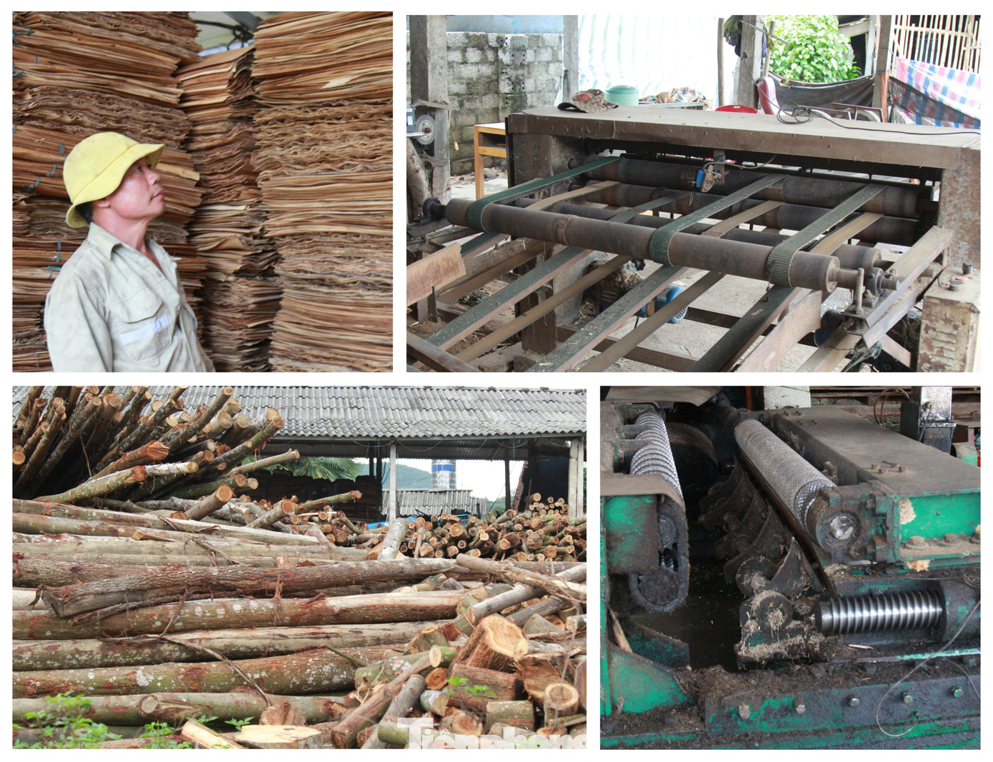 Hiện Yên Bái đang thực hiện nhiều giải pháp để khôi phục lại ngành gỗ tại địa phương. Hiện Yên Bái đang thực hiện nhiều giải pháp để khôi phục lại ngành gỗ tại địa phương.