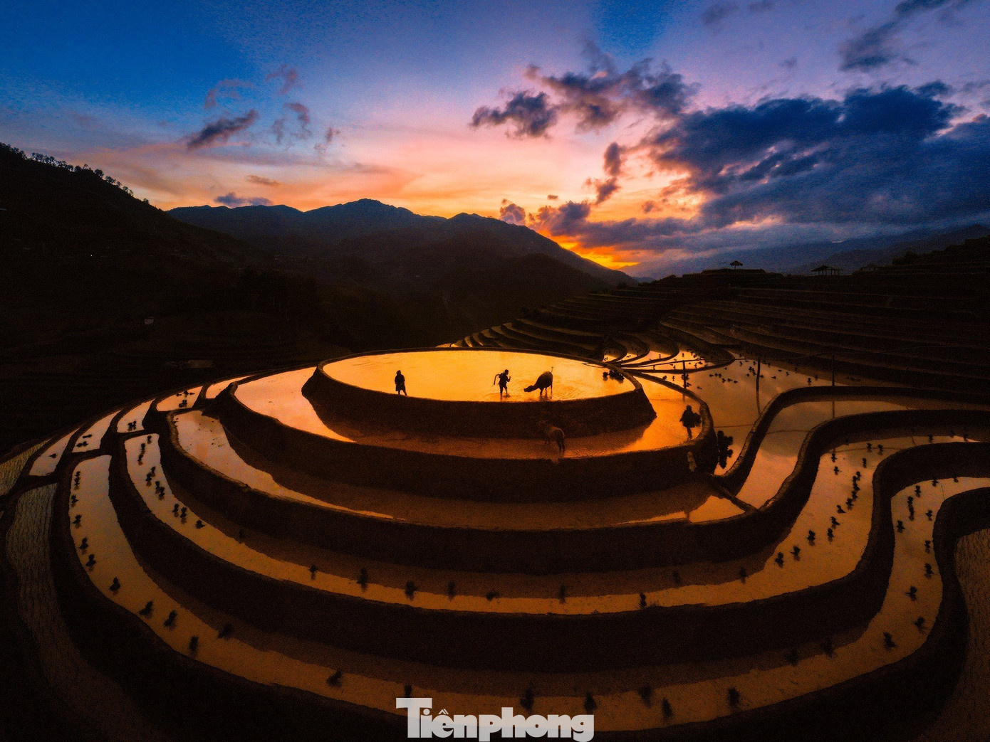 Không màu mè, lộng lẫy như mùa gặt, khi ruộng bậc thang Mù Cang Chải được nhuộm bởi màu vàng óng ả của sắc nắng và những bông lúa chín trĩu hạt, ruộng bậc thang vào mùa nước đổ mang một gam màu trầm, một vẻ hoang sơ, đúng chất của núi rừng Tây Bắc.