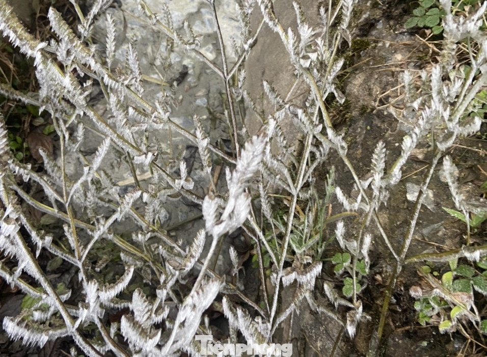 Nhiệt độ ở vùng núi phía Bắc phổ biến 10-12,3 độ C, Trong đó, nhiều nơi xuống dưới 10 độ C như: Sa Pa (Lào Cai) 3,8 độ C; Cao Bằng 6,5 độ C; Mù Cang Chải (Yên Bái) 9 độ C. Đặc biệt Mẫu Sơn (Lạng Sơn) nhiệt độ giảm sâu, xuống âm 2,2 độ C. Nhiệt độ ở vùng núi phía Bắc phổ biến 10-12,3 độ C, Trong đó, nhiều nơi xuống dưới 10 độ C như: Sa Pa (Lào Cai) 3,8 độ C; Cao Bằng 6,5 độ C; Mù Cang Chải (Yên Bái) 9 độ C. Đặc biệt Mẫu Sơn (Lạng Sơn) nhiệt độ giảm sâu, xuống âm 2,2 độ C.