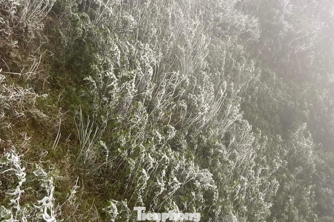 Đợt rét đậm, rét hại diện rộng này khả năng kéo dài đến khoảng ngày 25/12. Trung du và vùng núi phía Bắc có thể xảy ra băng giá và sương muối. Đợt rét đậm, rét hại diện rộng này khả năng kéo dài đến khoảng ngày 25/12. Trung du và vùng núi phía Bắc có thể xảy ra băng giá và sương muối.