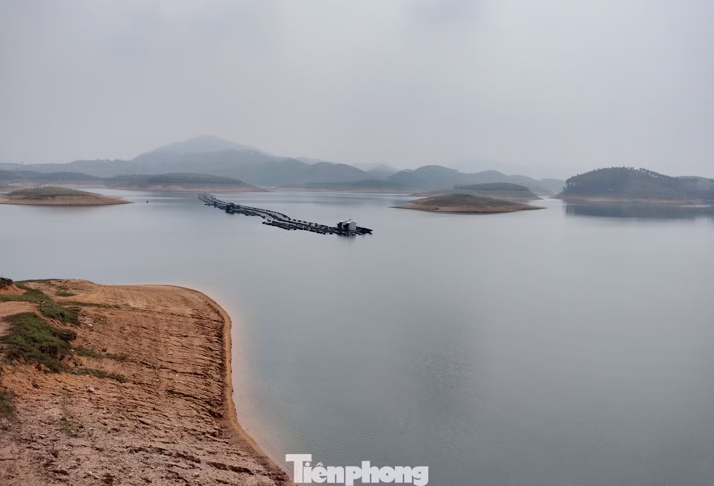 Những điểm nuôi cá lồng, bè trên hồ Thác Bà cũng phải di chuyển liên tục ra các điểm giữa hồ để đảm bảo cung cấp đủ oxi cho cá.