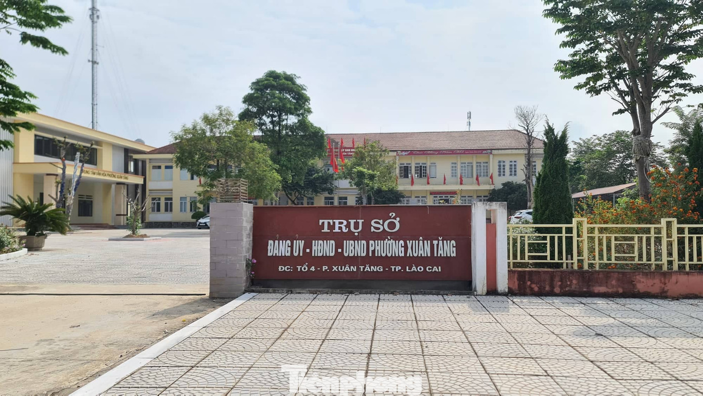 Sau khi đình chỉ, UBND TP sẽ tiến hành khôi phục việc nâng lương, cập nhật lại hồ sơ cán bộ, công chức đối với bà Nguyễn Thị Như Quỳnh.