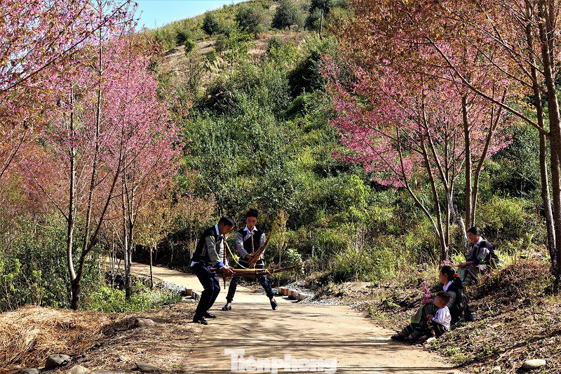 Nghệ thuật khèn gắn liền trong đời sống văn hóa của người Mông vùng cao. Nghệ thuật khèn gắn liền trong đời sống văn hóa của người Mông vùng cao.