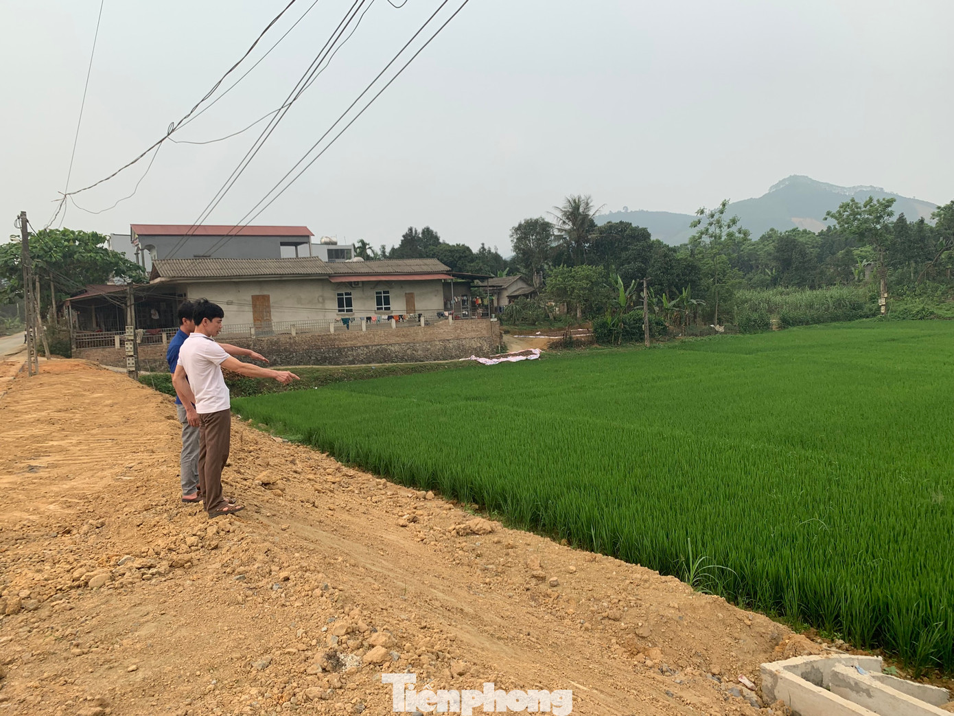 Các điểm đấu nối nhà thầu thi công đổ thẳng xuống ruộng. Các điểm đấu nối nhà thầu thi công đổ thẳng xuống ruộng.