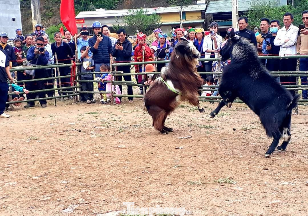 Đây là hoạt động gắn liền với sự phát triển trong suốt chiều dài lịch sử của vùng đất và con người Mù Cang Chải. Đồng thời nhằm giới thiệu, quảng bá tiềm năng, thế mạnh phát triển du lịch của địa phương.