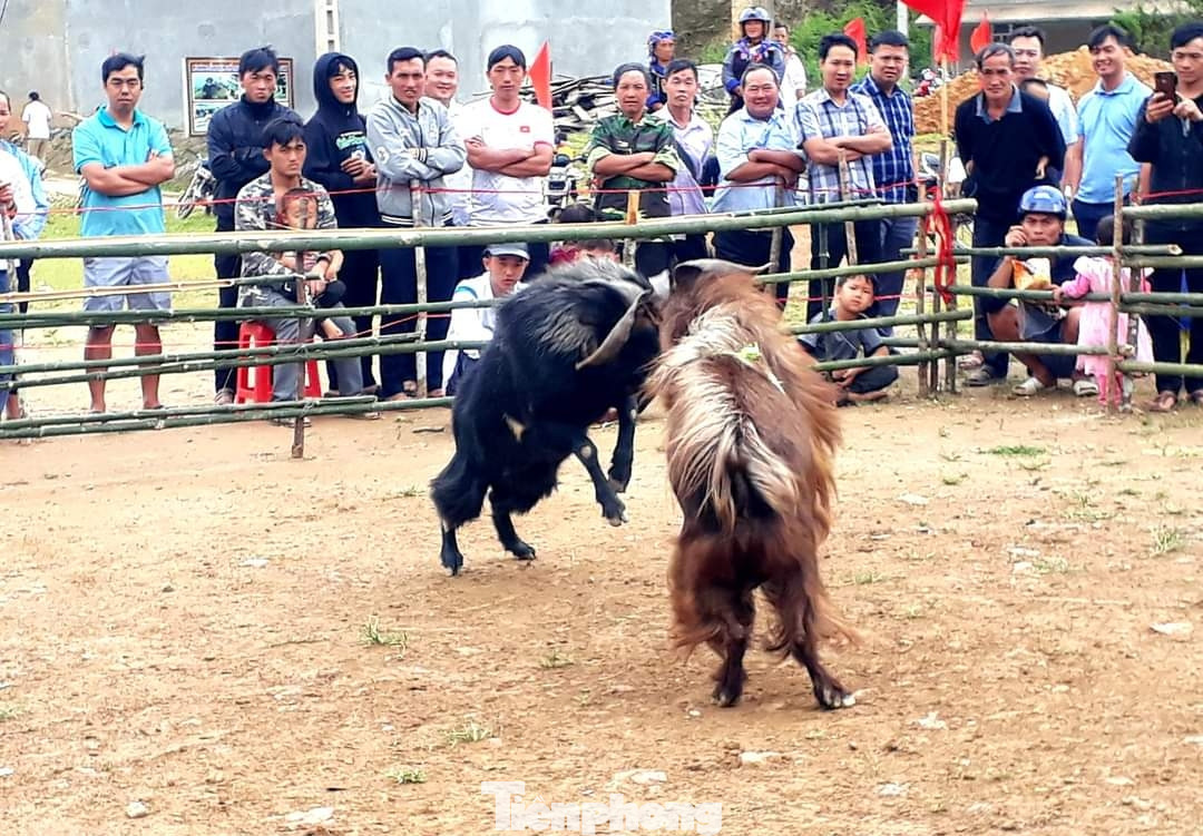 Mỗi trận đấu kéo dài 15 phút. Trong thời gian thi đấu, nếu không có dê bỏ chạy thì trận đấu sẽ được phân thắng bại bằng cách tính điểm dựa vào miếng đánh của các "đấu sĩ".