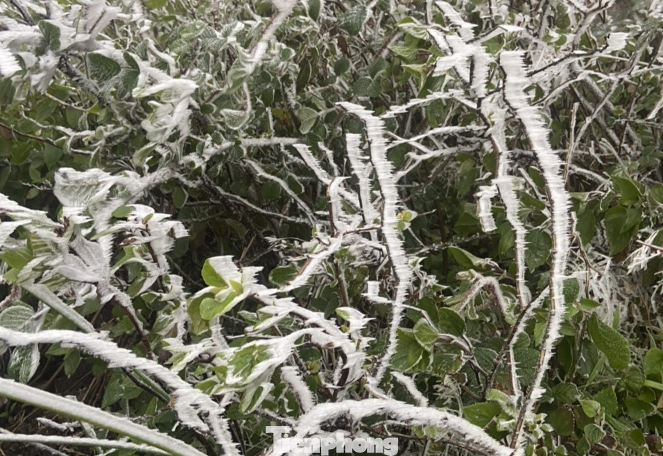 Trước tình hình trên, xã chỉ đạo các trường học có giải pháp tăng cường chống rét cho học sinh, nhất là ngừng mọi hoạt động ngoài trời. Trước tình hình trên, xã chỉ đạo các trường học có giải pháp tăng cường chống rét cho học sinh, nhất là ngừng mọi hoạt động ngoài trời.