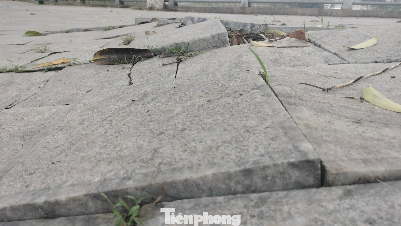 Các gốc cây xanh trồng dọc tuyến đường bị nổ, những viên đá lệch, vênh rõ rệt.