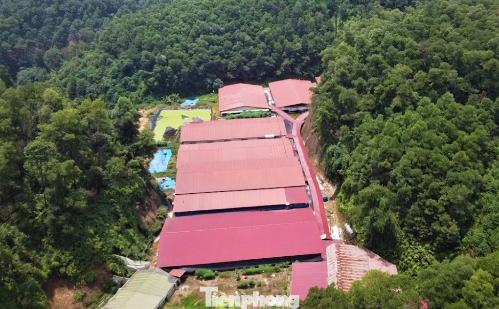 Ông Lê Sỹ Dần, Phó Chủ tịch UBND xã Văn Phú, TP Yên Bái cho biết, từ đầu năm 2023 đến nay, UBND và Công an xã đã 2 lần đi thực địa kiểm tra nhưng bảo vệ công ty không cho đoàn vào.