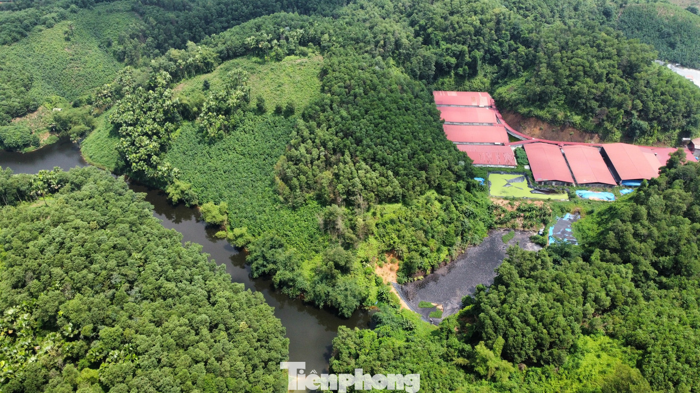 Qua ghi nhận của PV, khu vực trại lợn mùi thối nồng nặc, bể thải màu nước đen kịt chưa qua xử lý, đầm Khe Đá nằm cách bể chứa nước thải chưa đầy 5m dòng nước cũng đổi màu.