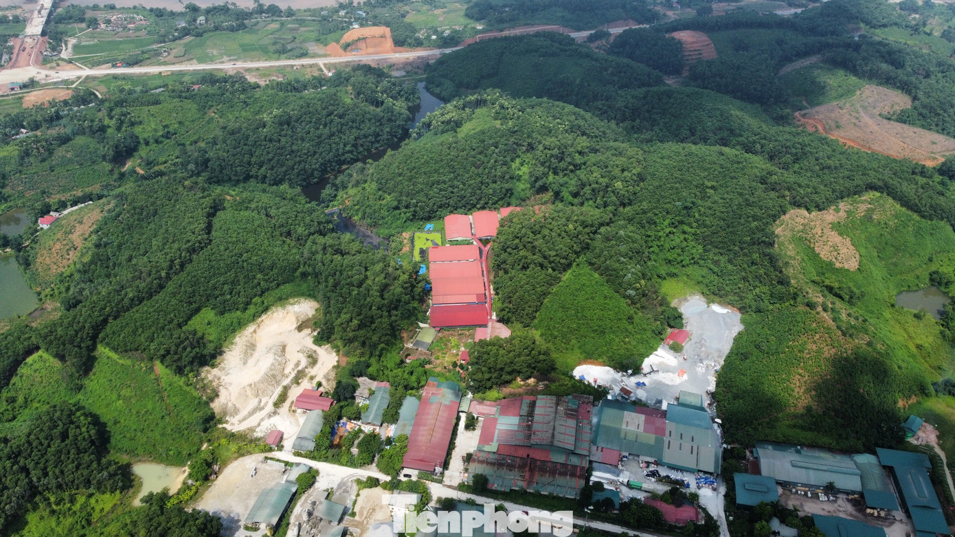 Trại lợn của Công ty TNHH Vật tư Nông nghiệp Yên Bái do ông Phạm Tiến Dũng làm Giám đốc, được xây dựng tại Cụm Công nghiệp Đầm Hồng, xã Văn Phú, TP Yên Bái, với quy mô từ 1.000 - 2.000 con.