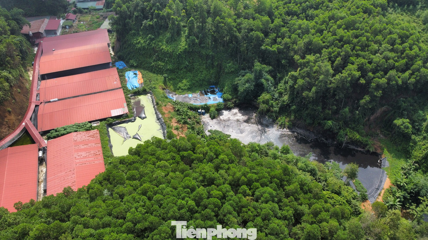 Cũng theo lãnh đạo UBND xã Văn Phú, hiện nay quy mô và việc chăn nuôi của trại lợn này đang vượt quá thẩm quyền của thành phố và xã. Ngoài ra, vị trí trên đang vào quy hoạch khu đô thị đã được phê duyệt. Việc phía đơn vị mở rộng phạm vi, quy mô trại lợn là trái phép.