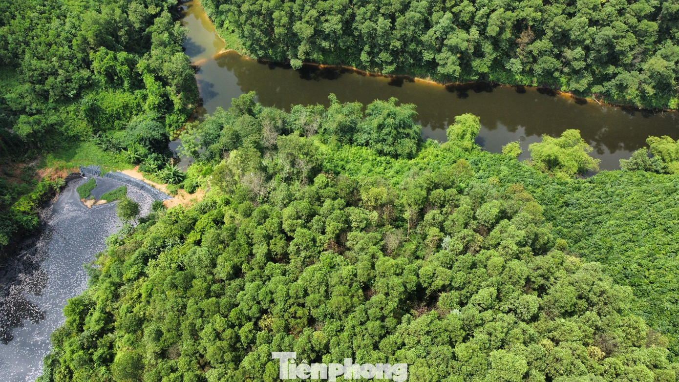 Theo ông Nguyễn Văn Độ, Trưởng thôn Tuy Lộc, xã Văn Phú, trại lợn này đã hoạt động nhiều năm. Cao điểm chăn nuôi khoảng 1.000 - 2.000 con. Điều đáng nói, nguồn nước thải không được xử lý, bốc mùi hôi thối và gây ô nhiễm nguồn nước khiến cá chết hàng loạt.