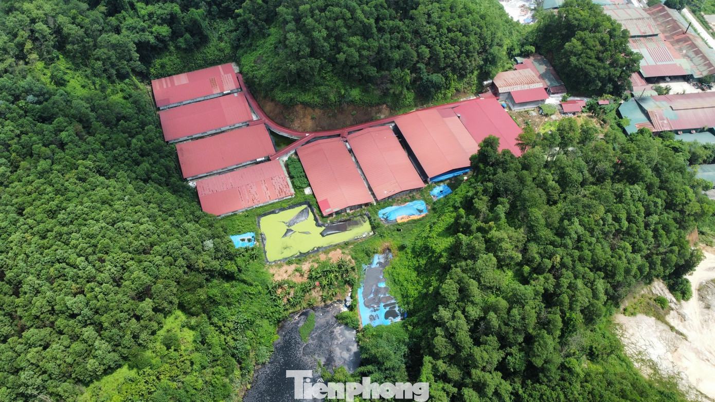 Được biết, tháng 7/2021, UBND tỉnh Yên Bái có quyết định về việc di dời cụm công nghiệp Đầm Hồng ra khỏi khu vực trung tâm thành phố Yên Bái theo lộ trình.