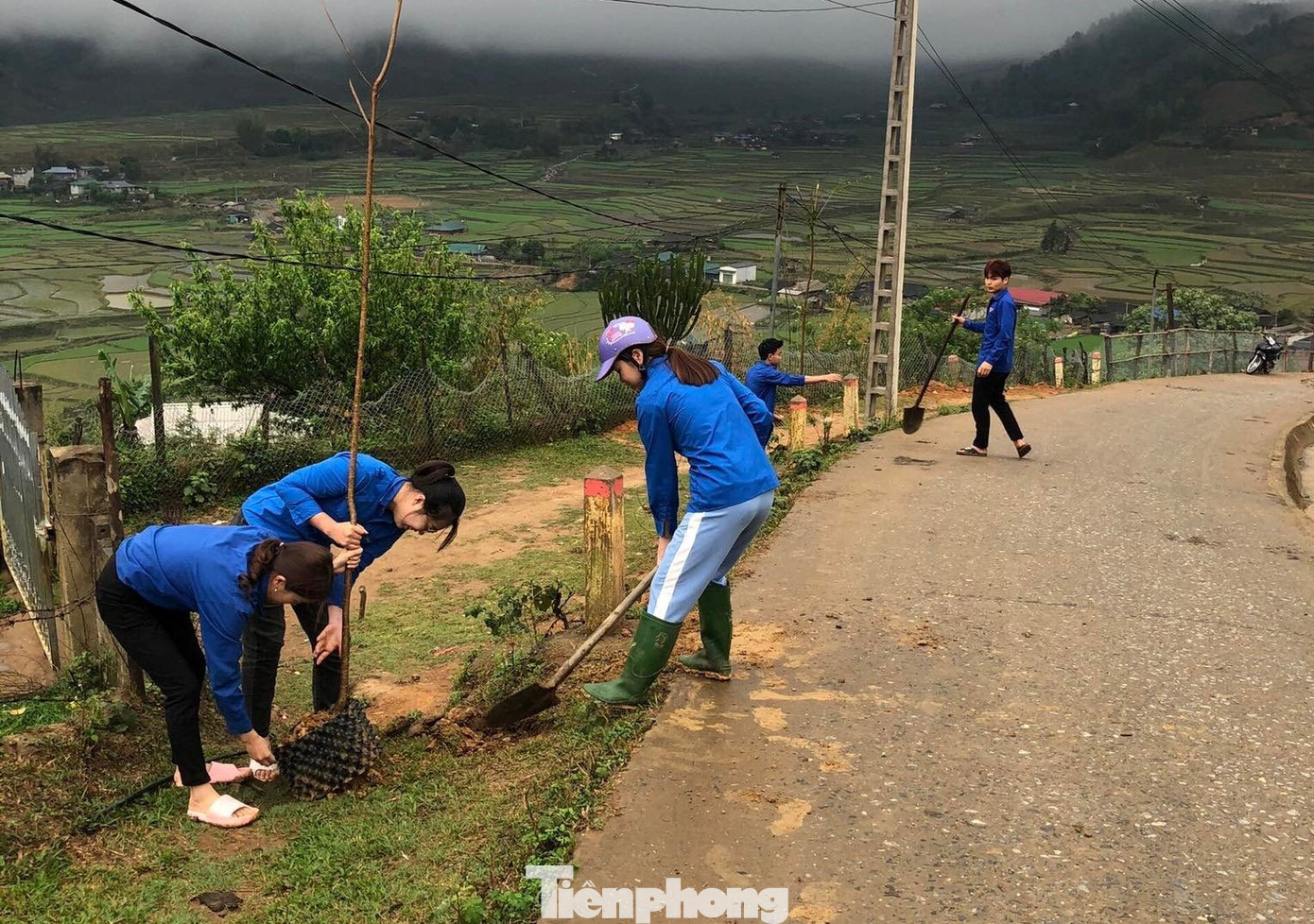 Đoàn huyện Mù Cang Chải huy động đoàn viên tham gia hoạt động Ngày chủ nhật xanh, trồng các cây đào rừng để tạo cảnh quan, thu hút khách du lịch đến địa bàn.