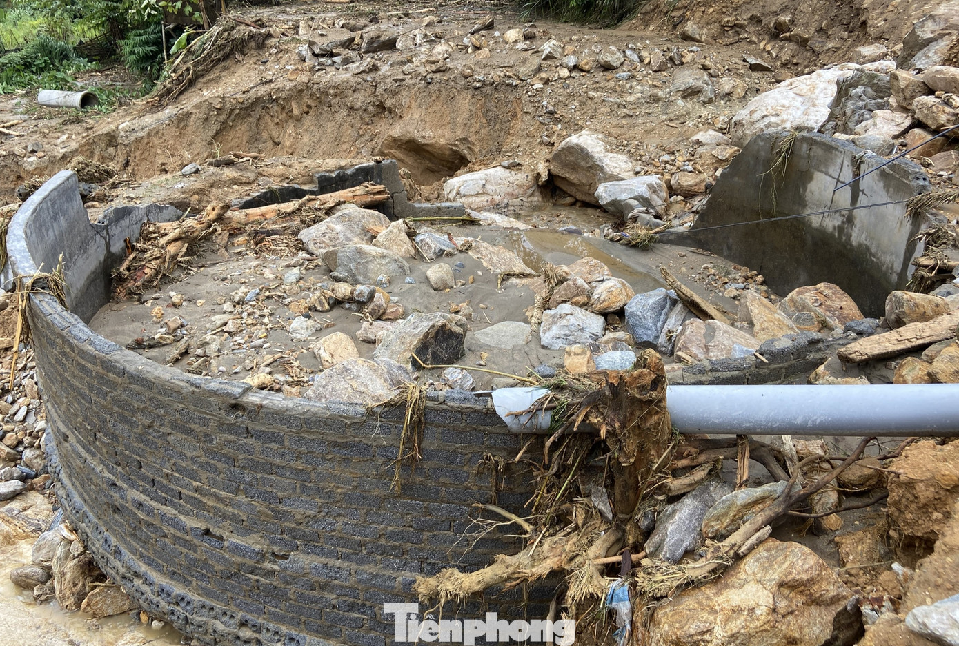 Lũ ống cũng cuốn trôi, làm hư hỏng toàn bộ 61 trại cá hồi cùng 610 ao cá tại xã Liên Minh. Thiệt hại ước tính khoảng 250 tỷ đồng.