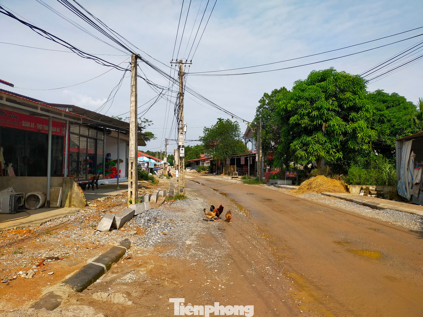 Cơ quan chức năng tỉnh Yên Bái chưa có phương án để di dời các cột điện này.