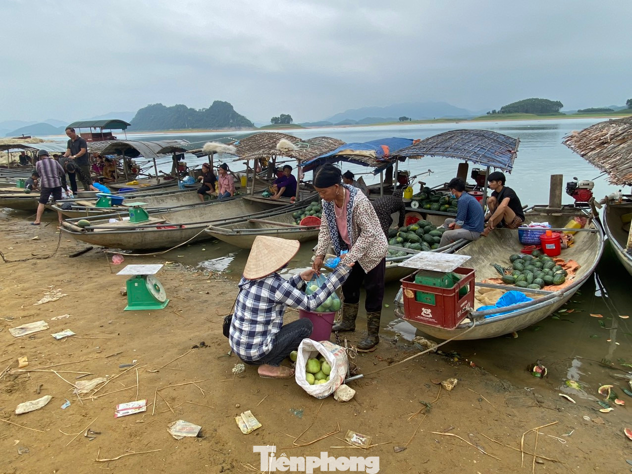 Theo thống kê của Trung tâm dịch vụ, Hỗ trợ phát triển nông nghiệp huyện Yên Bình, hiện sản phẩm dưa hấu trồng tại các đảo trên hồ Thác Bà được huyện đăng ký sản phẩm OCOP.