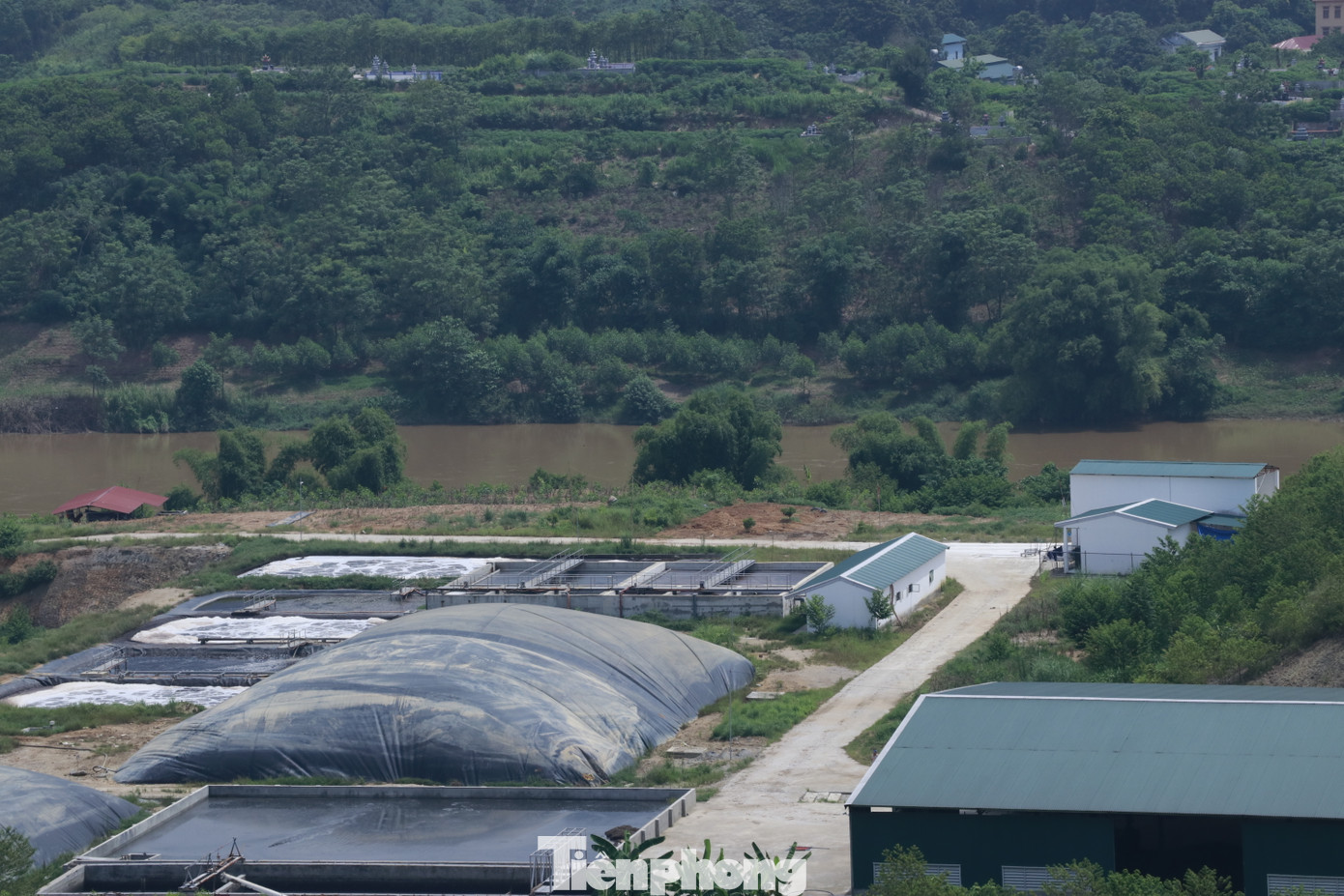 Khu vực xử lý chất thải của trang trại gần với sông Hồng. Khu vực xử lý chất thải của trang trại gần với sông Hồng.