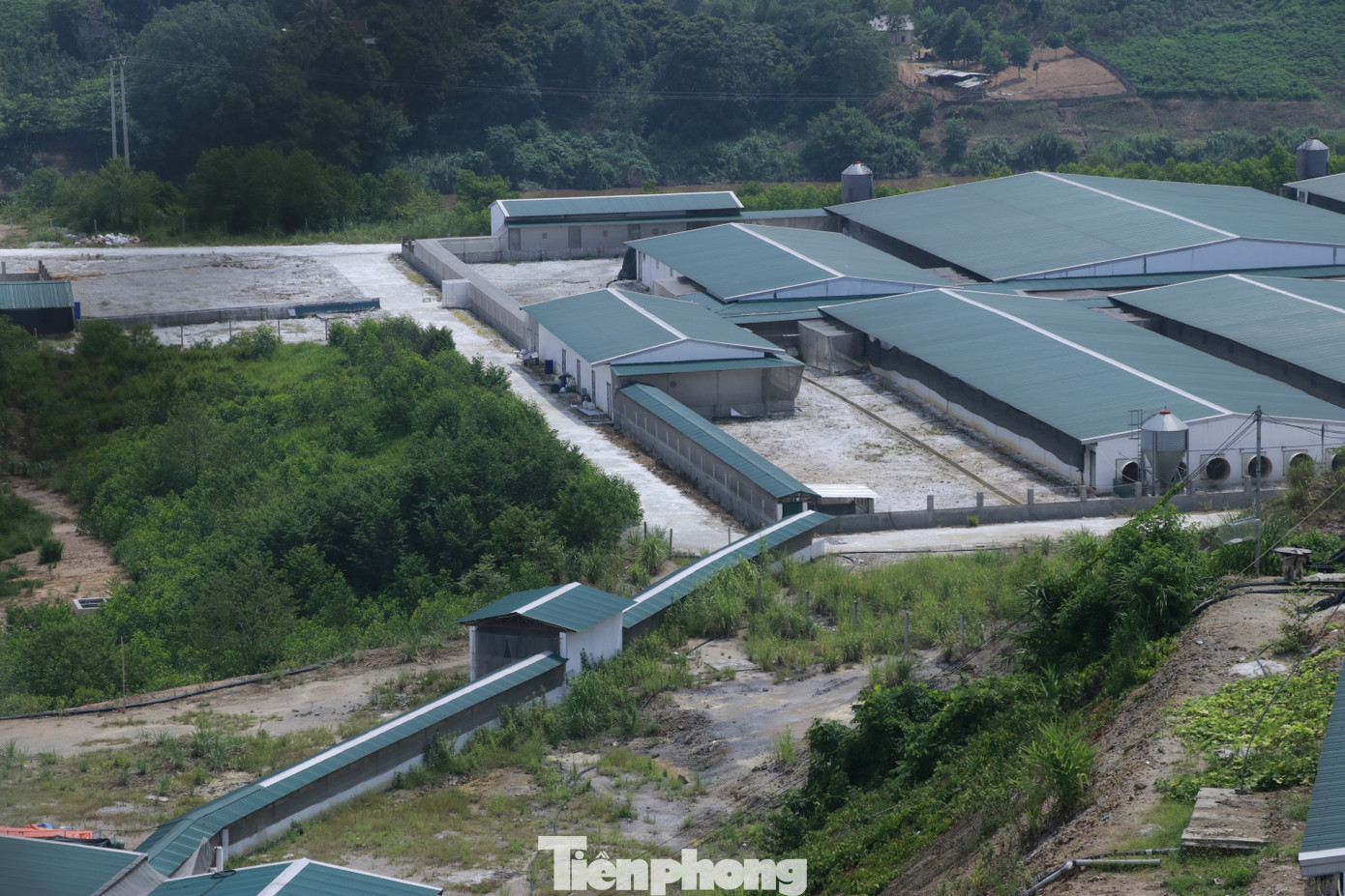 Theo chính quyền địa phương, việc mùi hôi thối bốc ra xuất phát từ khu chăn nuôi của trang trại. Theo chính quyền địa phương, việc mùi hôi thối bốc ra xuất phát từ khu chăn nuôi của trang trại.