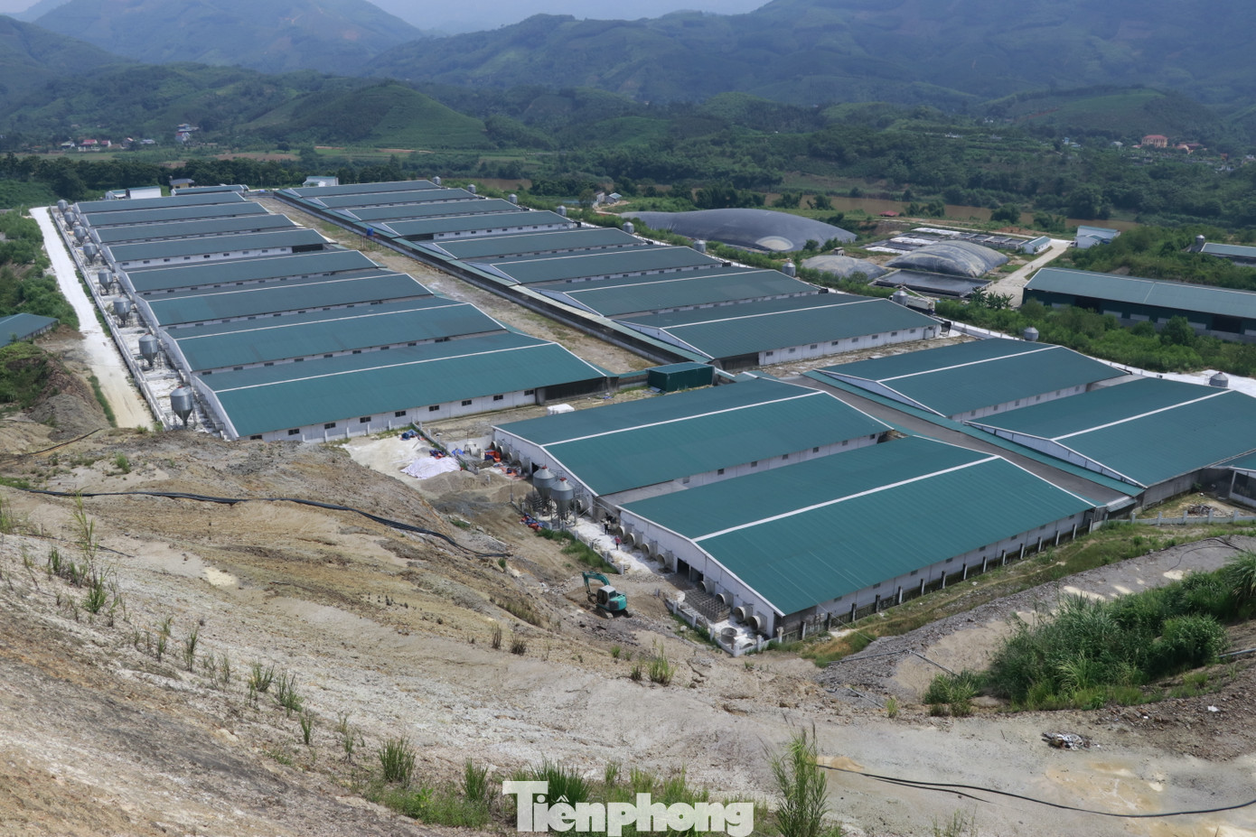 Trang trại lợn công nghệ cao của Công ty Cổ phần Phát triển nông nghiệp công nghệ cao tích hợp Anifer có diện tích hơn 30 ha, với tổng mức đầu tư gần 136 tỷ đồng. Trang trại lợn công nghệ cao của Công ty Cổ phần Phát triển nông nghiệp công nghệ cao tích hợp Anifer có diện tích hơn 30 ha, với tổng mức đầu tư gần 136 tỷ đồng.