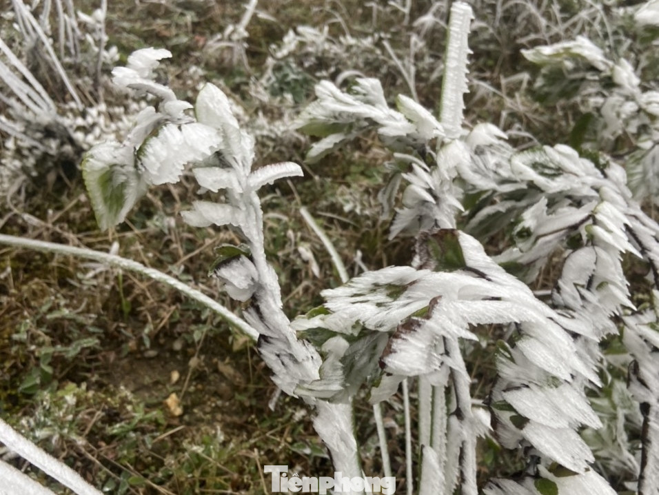 Trung tâm Dự báo khí tượng thủy văn quốc gia cho biết, lúc 6h hôm nay 22/12, Bắc Bộ chìm trong rét đậm, rét hại, có nơi xuống âm độ C. Trung tâm Dự báo khí tượng thủy văn quốc gia cho biết, lúc 6h hôm nay 22/12, Bắc Bộ chìm trong rét đậm, rét hại, có nơi xuống âm độ C.