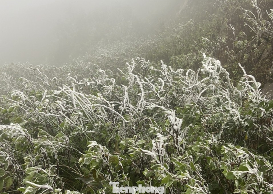 Ngày 22/12, trao đổi với Tiền Phong, ông Phạm Tiến Lâm - Bí thư Đảng ủy xã La Pán Tẩn cho biết, do không khí lạnh tăng cường, những ngày qua nhiệt độ ở đây xuống thấp, có nhiều nơi đo được chỉ 2 độ C và nhiều điểm đã xuất hiện băng giá. Ngày 22/12, trao đổi với Tiền Phong, ông Phạm Tiến Lâm - Bí thư Đảng ủy xã La Pán Tẩn cho biết, do không khí lạnh tăng cường, những ngày qua nhiệt độ ở đây xuống thấp, có nhiều nơi đo được chỉ 2 độ C và nhiều điểm đã xuất hiện băng giá.