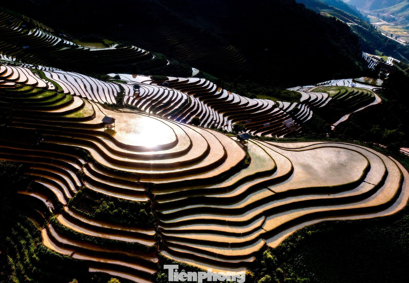 Ánh nắng phản chiếu của nước quyện cùng ánh mặt trời, và màu xanh của mạ non tạo nên một bức tranh đẹp mê mẩn trên những thửa ruộng bậc thang...