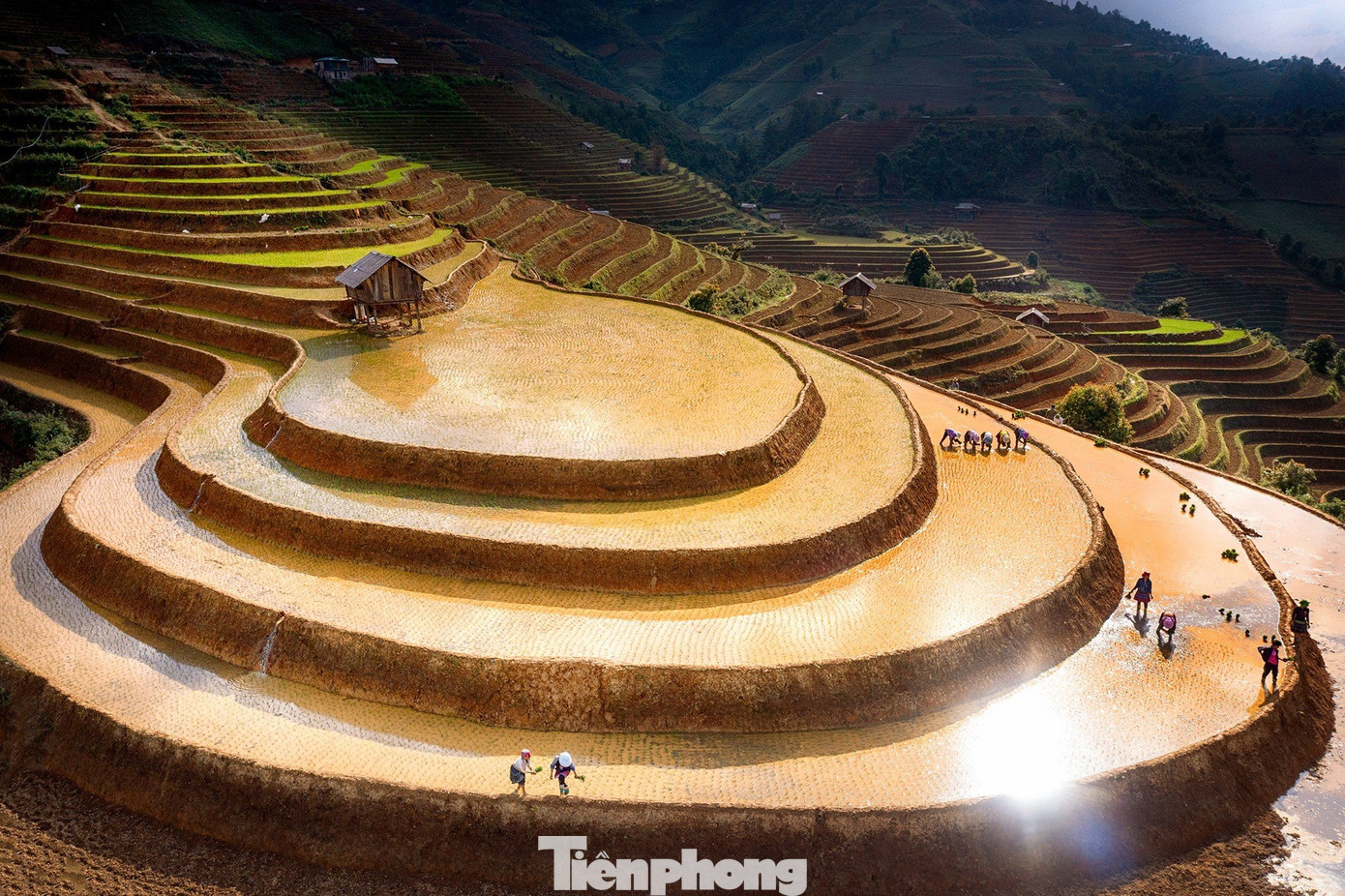 Năm 2019, Thủ tướng Chính phủ ban hành quyết định số 1954 xếp hạng di tích quốc gia đặc biệt đối với danh lam thắng cảnh ruộng bậc thang Mù Cang Chải.