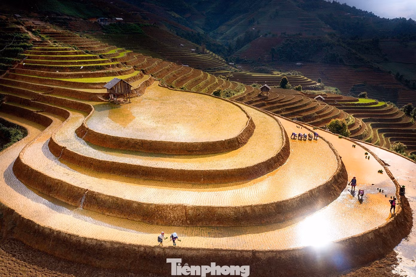 Năm 2019, Thủ tướng Chính phủ ban hành quyết định số 1954 xếp hạng di tích quốc gia đặc biệt đối với danh lam thắng cảnh ruộng bậc thang Mù Cang Chải.