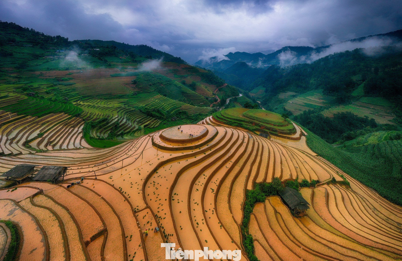 Mùa nước đổ khiến những thửa ruộng bậc thang Mù Cang Chải hiện lên với màu nâu của đất hòa quyện cùng trời xanh và mặt nước óng ánh, dưới nắng vàng rực rỡ đẹp tựa bức tranh.