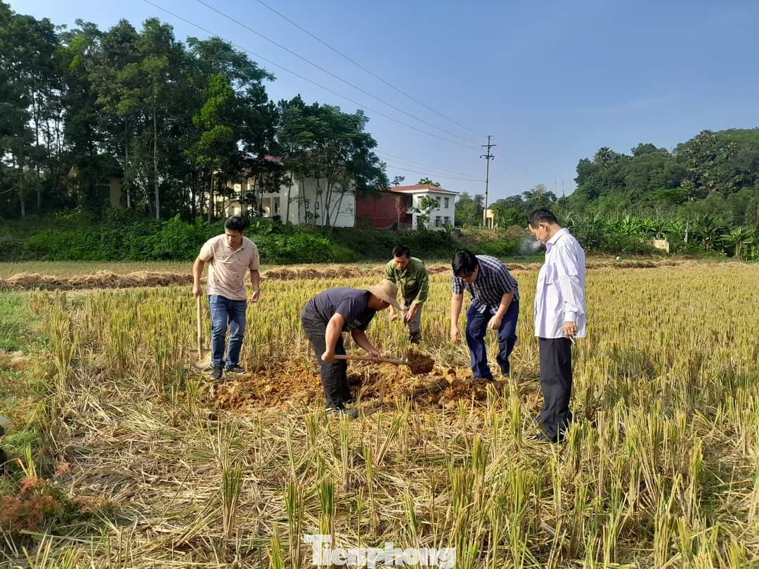 Khu vực phát hiện chậu đồng cổ. Khu vực phát hiện chậu đồng cổ.