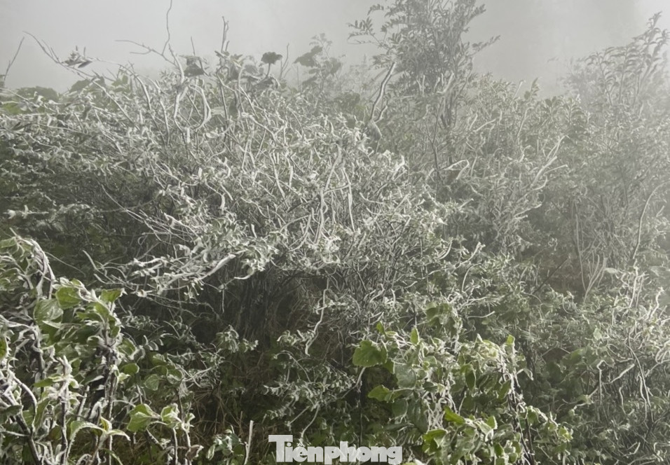 Theo người dân ở xã La Pán Tẩn, đây là một trong những đỉnh núi của xã hàng năm thường xuất hiện băng giá mỗi đợt không khí lạnh tăng cường. Theo người dân ở xã La Pán Tẩn, đây là một trong những đỉnh núi của xã hàng năm thường xuất hiện băng giá mỗi đợt không khí lạnh tăng cường.