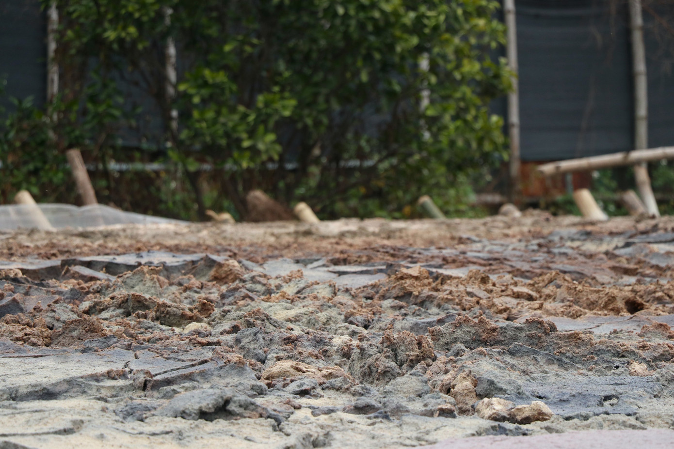 Những bể ngâm bã sắn hôi thối, bốc mùi chảy nước tại nhiều nơi.