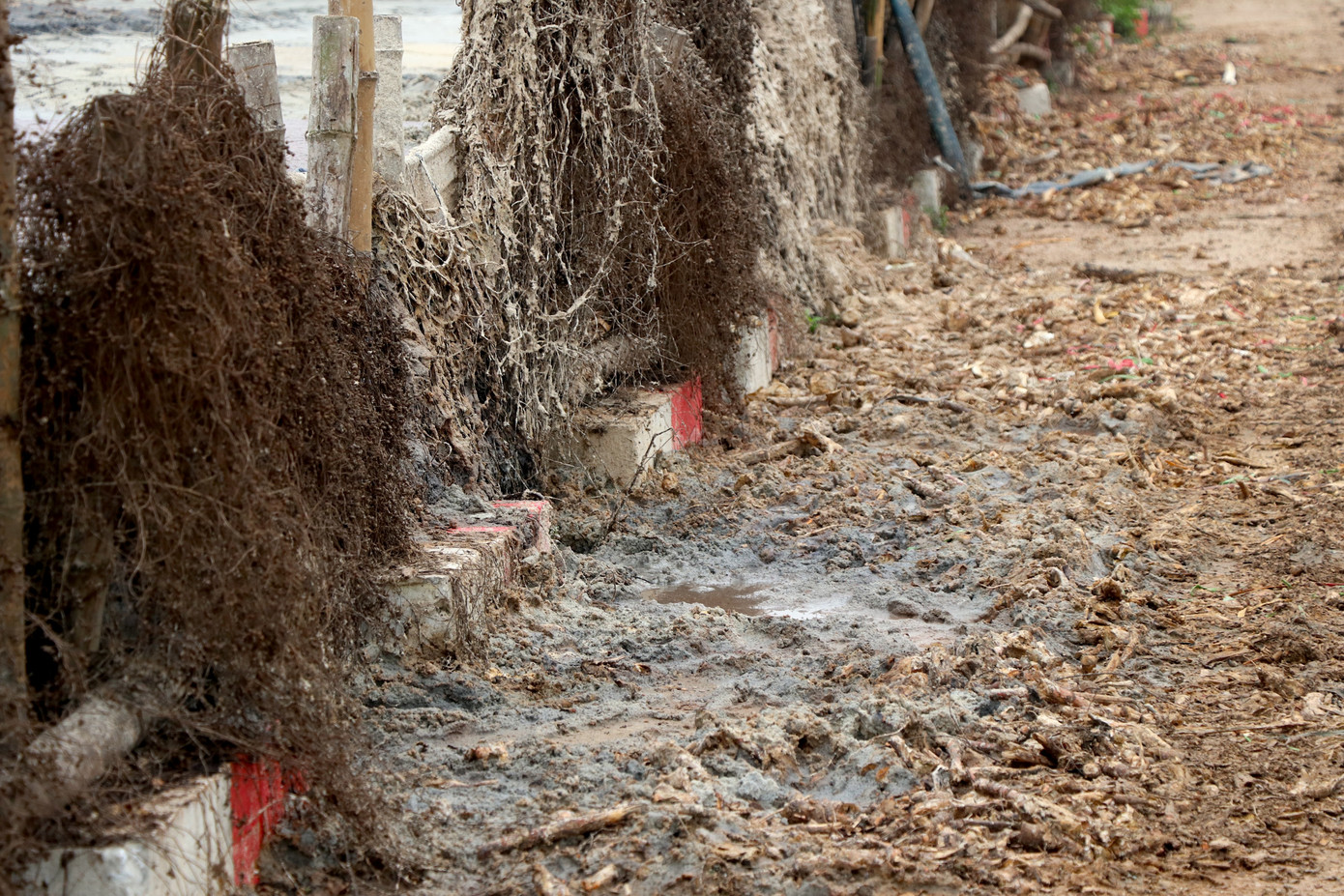 Ngay từ đầu làng, mùi hôi của rác thải lâu ngày; mùi chua của bã sắn, bã đót (bã củ dong) bốc lên nồng nặc; mùi nấu tinh bột sắn, dong cùng các chất phụ gia làm miến, làm bánh kẹo bốc lên làm không phải ai cũng chịu được.