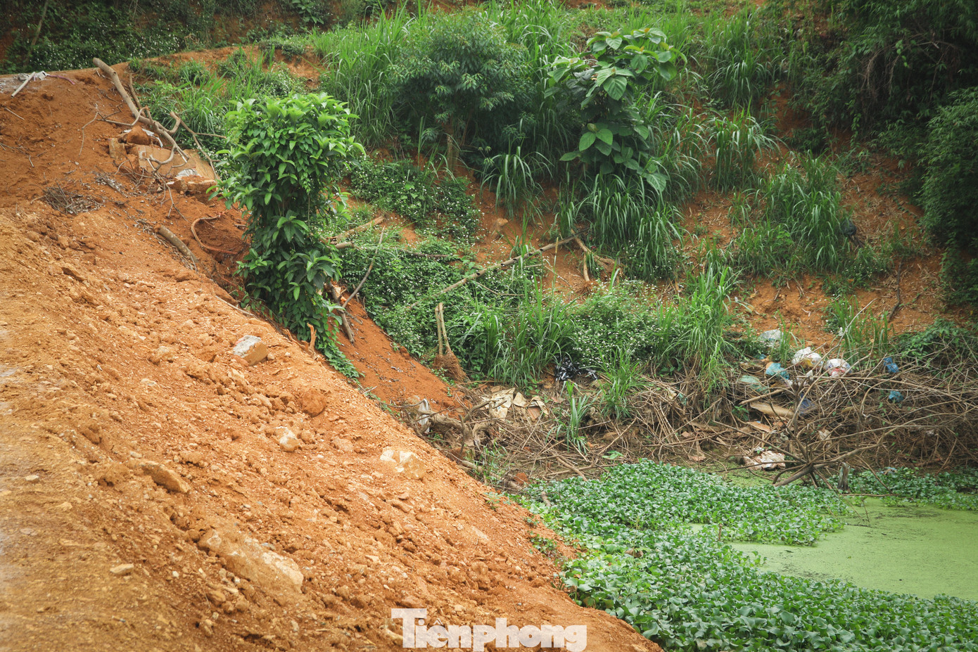 "Con lươn" ngăn hồ được bồi đắp cao từ 4-5m, vắt ngang qua hồ Đầm vốn thuộc địa bàn quản lý của xã Minh Quang và Khánh Thượng.