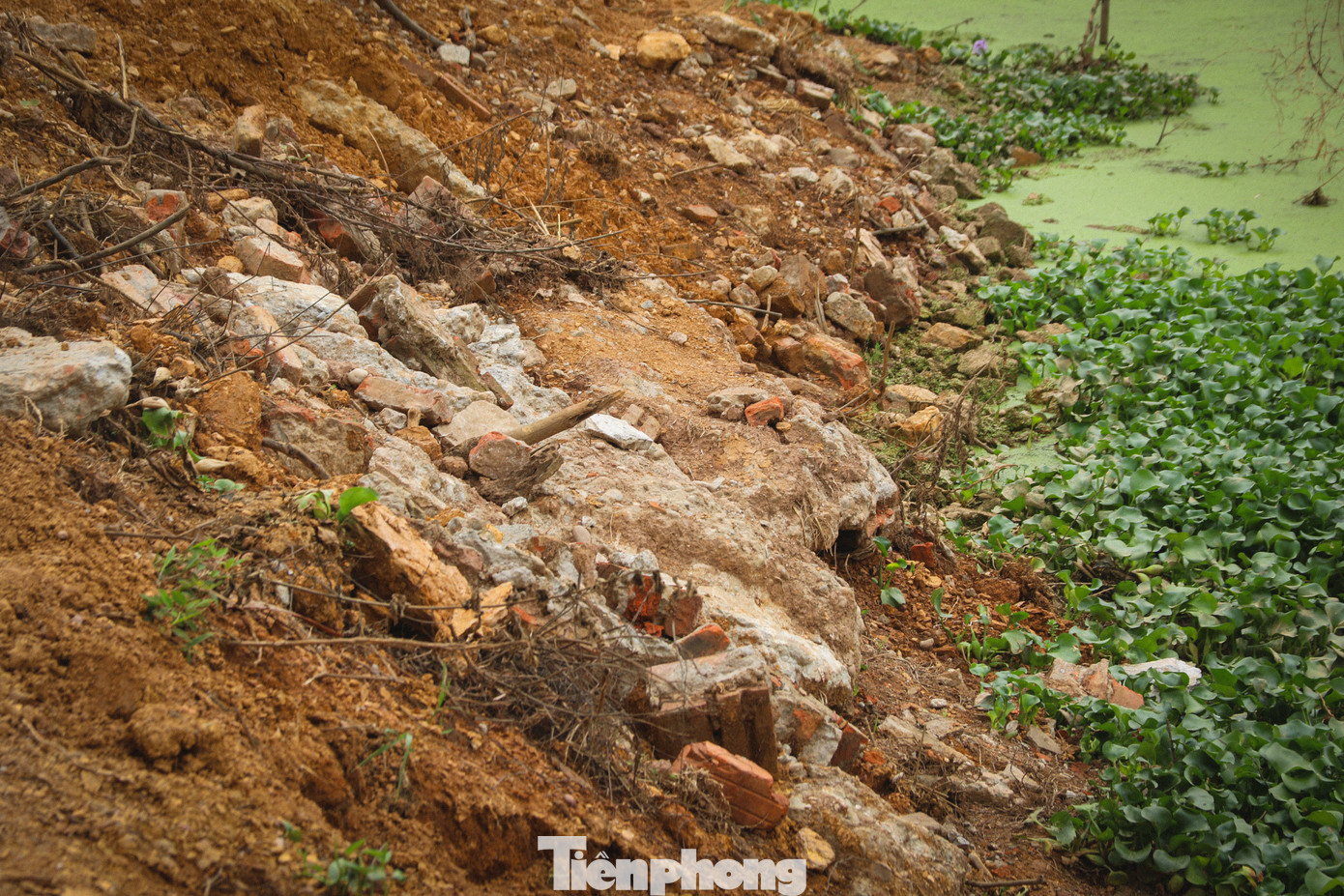 Diện tích lòng hồ bị ngăn cách do có mô đất rộng hơn 1m ngăn giữa.