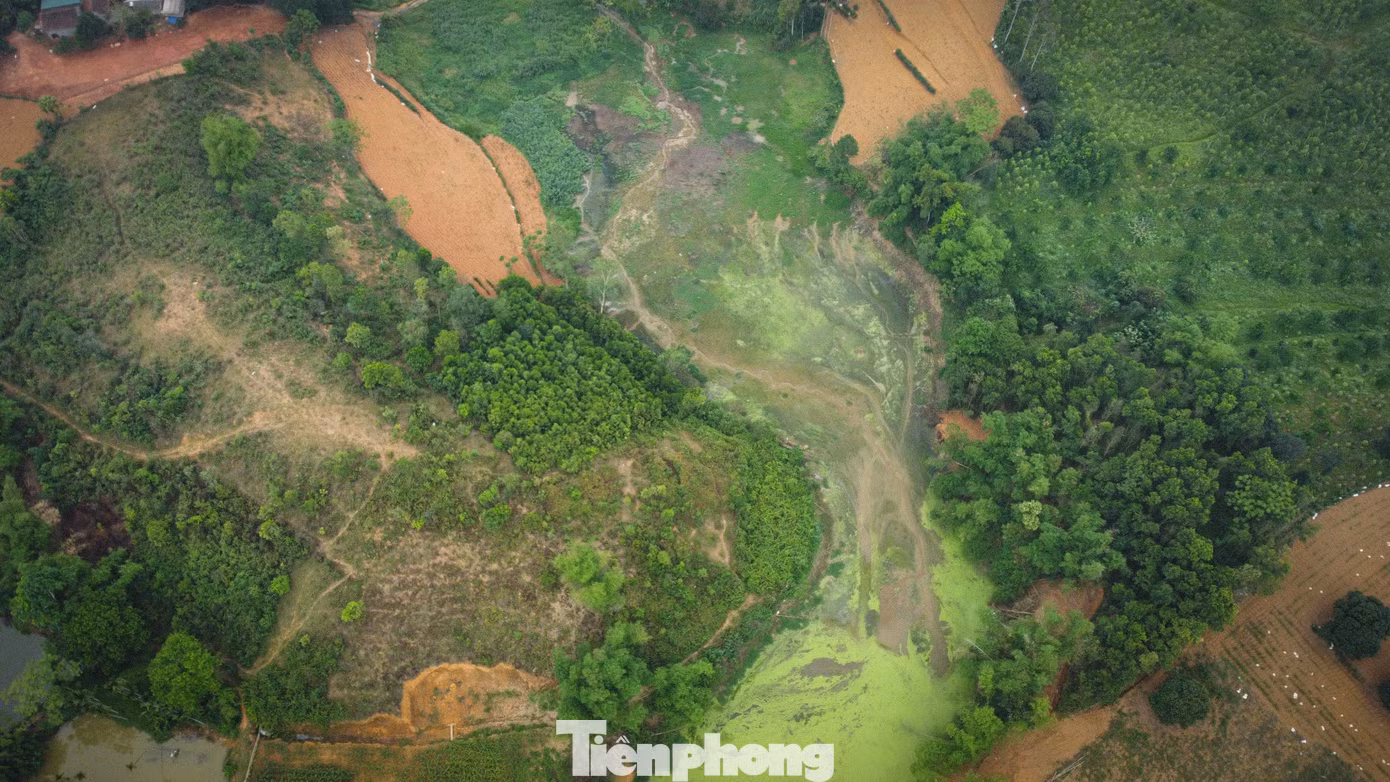 Theo thông tin từ người dân địa phương, hồ Đầm đã được UBND xã Minh Quang cho một cá nhân thầu lại để thả cá. Theo đó, việc san lấp đất, đá xuống hồ được người quản lý hồ lý giải là nhằm mục đích “ngăn” dòng nước ô nhiễm từ đầu nguồn để nuôi thả cá con.