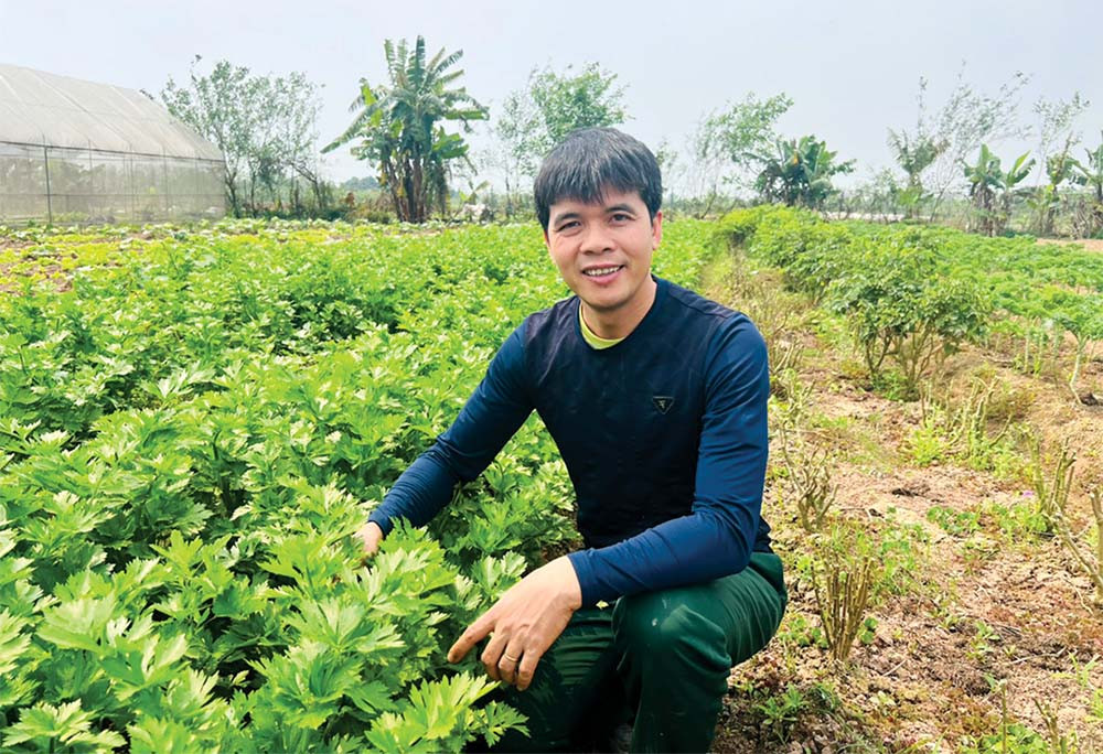 Anh Nguyễn Đức Chinh chăm sóc khu vườn canh tác hữu cơ ven sông Đáy.