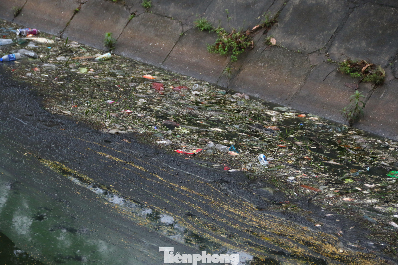 Nước trong hồ chuyển sang màu xanh đậm, loang từng vệt chất thải ô nhiễm và rác thải, xác động vật chết. Nước trong hồ chuyển sang màu xanh đậm, loang từng vệt chất thải ô nhiễm và rác thải, xác động vật chết.