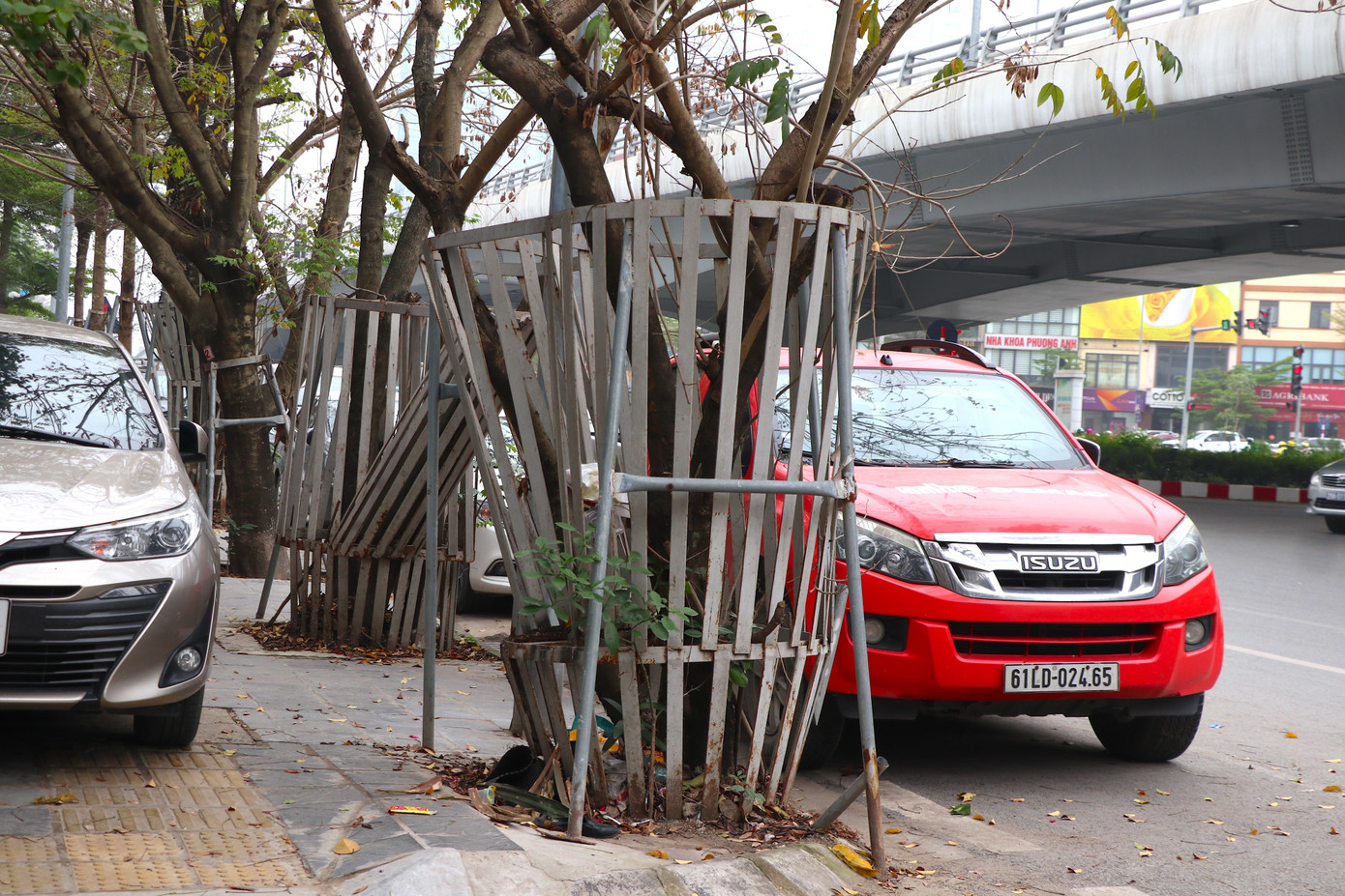 Rào sắt cao khoảng 2 m được dựng lên từ gốc đến thân rất kiên cố và được cố định dưới nền đất.