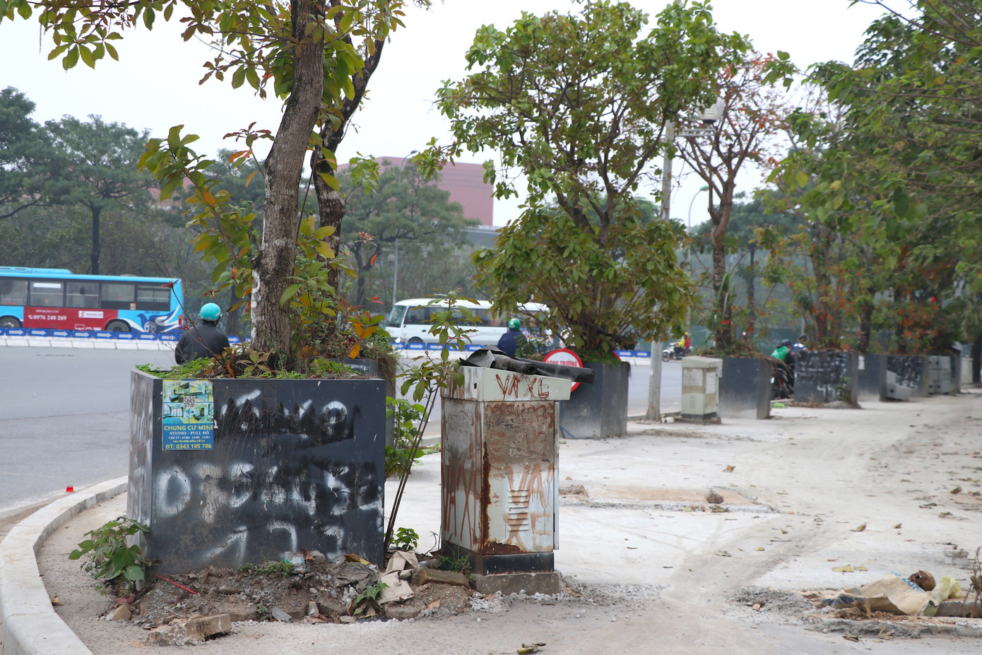 Trên đường Lê Đức Thọ, đoạn gần với sân vận động quốc gia Mỹ Đình, hàng chục cây xanh khá lớn được trồng trong bồn nhựa cao khoảng gần một mét so với mặt vỉa hè.